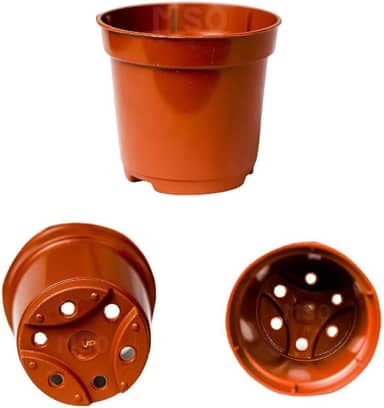 30 Mini Vasinhos Coloridos Pote 6 De 80ml Castos E Suculentas mudas lembrancinha (MARROM)