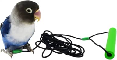 Corrente para pé de pássaro com corda elástica de látex voador para treinamento ao ar livre papagaio anel de tornozelo acessórios coleira para pássaros evita fuga (modelo 5 - com guia de 400 cm)