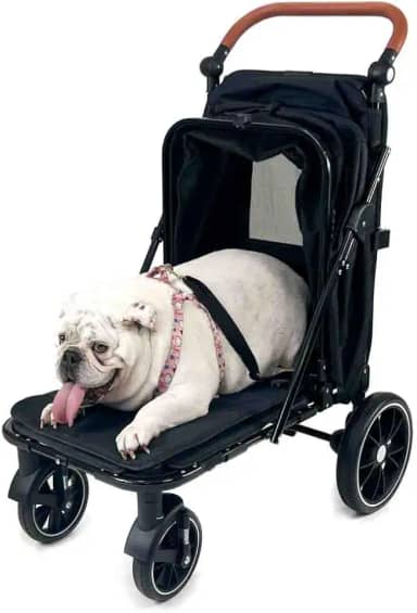 Carrinho de passeio para Pet, animal de estimação, cachorro, cão, gato de grande porte até 35 Kg