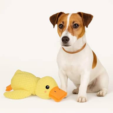 Brinquedo pelúcia de Pato Pet para Cães - Interativo, Calmante e Bonito | Brinquedo de Pelúcia com Som para Mastigar Petbuco