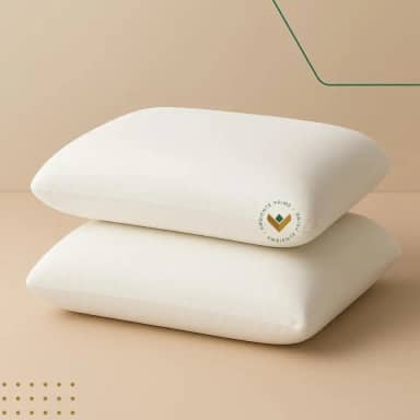 Kit 2 Travesseiro Nasa Alto 15cm Premium Alivio Da Dor Antialergico Para Fronha 50cmx70cm Espuma Viscoelástico