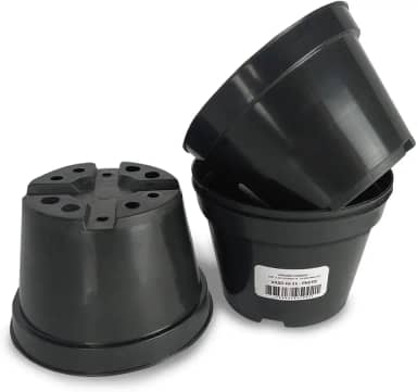 Vaso Pote 11 Rígido Plantar Suculenta Flores Mudas 100 Und