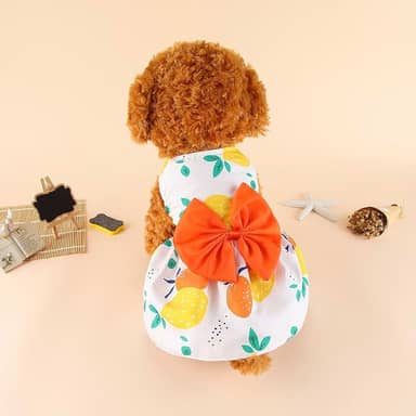 1 vestido de cachorro elegante para o verão - Vestuário para animais de estimação com respirabilidade e conforto; design moderno; fácil de limpar, laranja, G