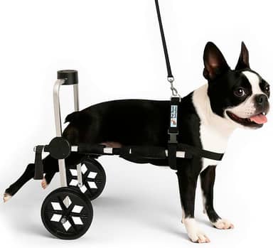 Cadeira de Rodas Para Cachorro Tamanho M Médio Anti Tombamento Pet Best Soluções