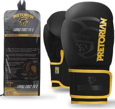 Luva de Boxe e Muay Thai FX2 Pretorian