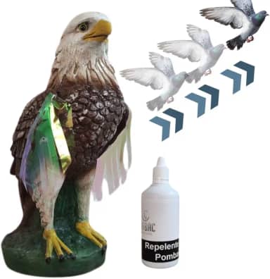 Espanta Pombos de Telhado Realista com Odor de Águia, Repelente Incluso, Peça em Resina Premium, 37 cm
