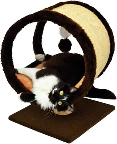 São Pet Arranhador Ring Pelucia Lisa