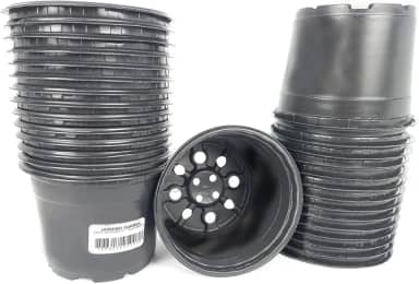 Vaso Pote 11 Plastico Plantar Suculenta Flores Mudas 100 Und