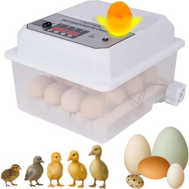 Joyfox Incubadora Automática 16-24 Ovos com Viragem Automática, Dupla Alimentação 127V/12V, LCD, Luz de Ovos e Modos Inteligentes – Ideal para Galinhas, Patos, Codornas e Gansos