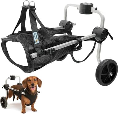 Cadeira de Rodas para Cachorro Tamanho P Pequeno Colete Soluções Pet Best