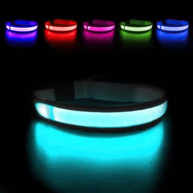 MASBRILL Coleiras para cães iluminadas – Coleira de cachorro com LED recarregável, leve, resistente à água, caminhadas noturnas, que brilham no escuro