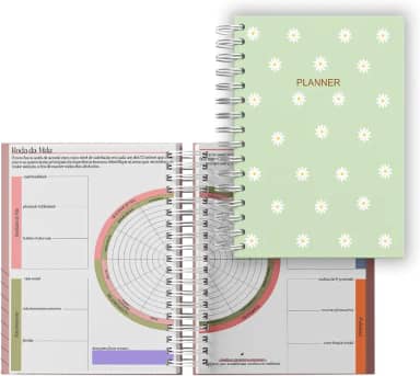 Planner Financeiro Mensal Datado 2026, Roda Da Vida A5 -Planejamento anual, Organização pessoal Metas e objetivos, Gestão financeira Monitoramento de saúde, Planejamento semanal Cápsula do tempo - Capa dura laminada (Verde)