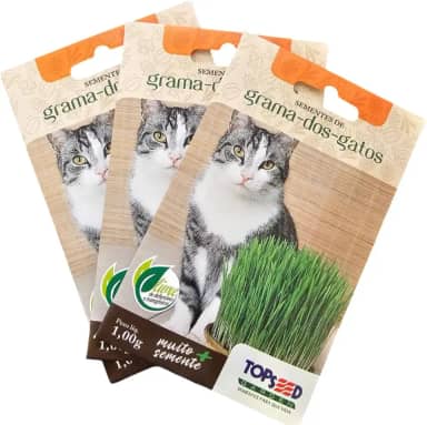 KIT 5 Sementes Grama De Gato Grama Pet Felino Complemento Alimentar