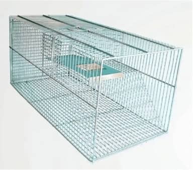 Ratoeira Gaiola de Captura para Ratos, Camundongos e Ratazanas