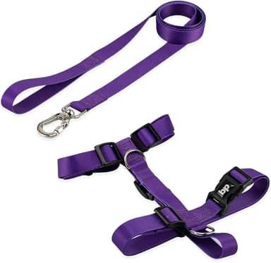 Coleira Peitoral Com Guia Para Cachorro Cães Modelo Tradicional H Tamanho Porte Grande Médio Pequeno (G, Roxo)