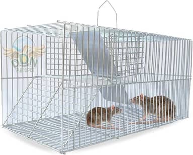 Gaiola Ratoeira Armadilha Pegar Rato Camundongo Fundo Falso