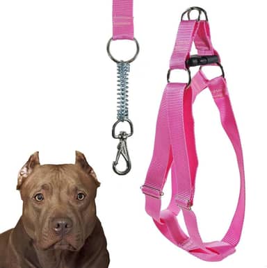 Peitoral Americano Coleira Com Guia Para Cachorro Porte Grande Resistente (Rosa)