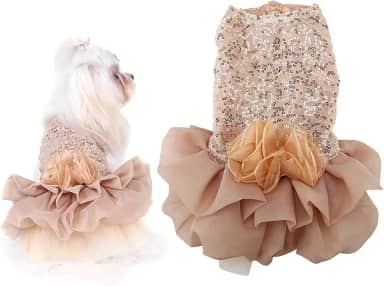 Vestido de casamento para cachorro, doce com lantejoulas, vestido de renda, colete de renda, festa para cães e gatos (GG dourado)