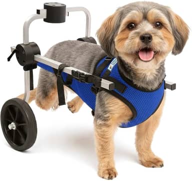 Cadeira de Rodas para Cachorro, Colete Ajustável, Tamanho P, Azul, Suporte para Patas Traseiras