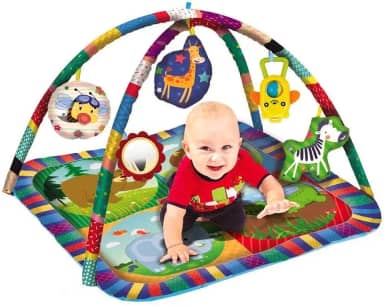 Tapete Centro De Atividades Para Bebês Com Aro - Zoop Toys, Multicor, ZP00179