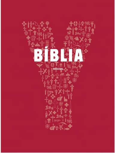 Bíblia Jovem - Youcat: Youcat