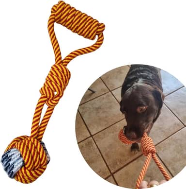 Brinquedo Puxão Corda Pet, Mordedor para Cachorro, Interativo Cachorro Médio, Grande Porte