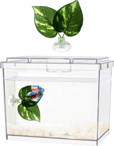 Moonorange Mini Aquário Betta, 1 litro, Plástico, Transparente, Empilhável, Kit para Iniciantes, Peixe, Aquário