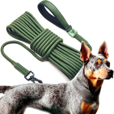 GUIA LONGA 10 METROS APOLODOG (VERDE MILITAR)