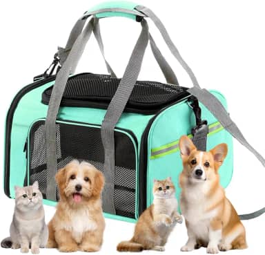 Bolsa Transporte Pet Ventilação em 4 lados Bolsa Transporte Pet Avião Para LATAM Paw Up (Verde)