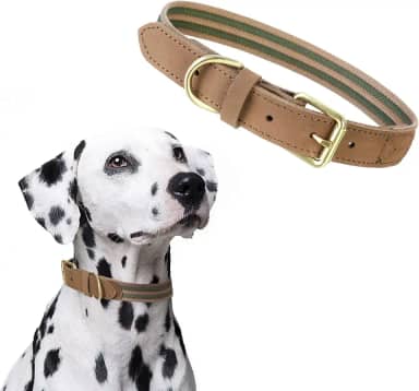 Mile High Life | Coleira de couro premium para cães | Fivela de liga de zinco com fivela | Coleira de cinto de couro genuíno | para cães grandes de médio porte (gola grande verde 43-53,5 cm)