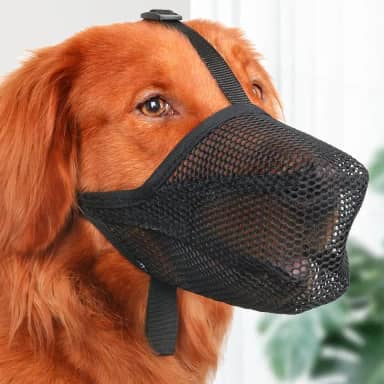 Focinheira preta para cães, design respirável ajustável, adequada para cães pequenos/médios (caminhadas diárias/cuidados pessoais/visitas ao veterinário)