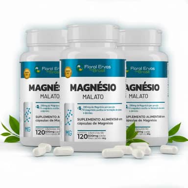 Kit 3x Magnésio Malato 600 mg – 360 Cápsulas total | Floral Ervas do Brasil | Auxilia no Funcionamento Muscular, Neuromuscular e Metabolismo Energético