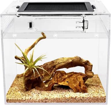Reptile Growth Terrário para répteis, 20,32 x 20,32 x 20,32 cm, tanque de répteis com visão completa visualmente atraente, terrários de répteis para leopardo lagartixa caranguejo eremita barbudo dragão lagarto cobra aranha sapo
