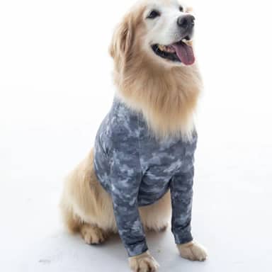 Roupa Pós Cirúrgica Pet Membros Anteriores + Peito Nº10