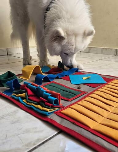 Tapete interativo Pet Cachorro e Gato enriquecimento ambiental