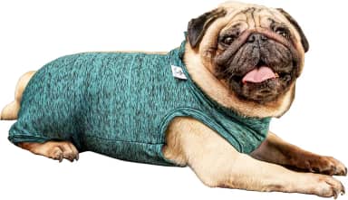 Roupa pós-cirúrgica unissex para PUG - Tam 4 peso 9 a 11kg - Pet Designer