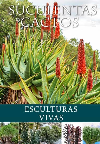 Suculentas e Cactos: Esculturas Vivas