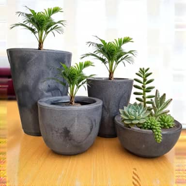 Kit de 4 Vasos para Plantas Flor - Coluna Redonda - Ideal para Casa, Jardim e Varanda com Pratos Incluídos (Grafite)