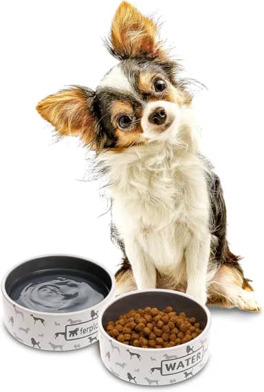 Ferplast Juno Pequena, Tigela Para Animais, Branca, 0,3 L, Cerâmica Ferplast para Cães, Pequeno