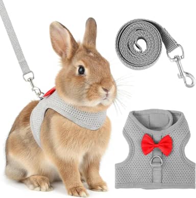 Conjunto de coleira e coleira de coelho, colete macio e respirável com lindo laço de malha ajustável, coleira de coelho para caminhada, à prova de fuga para gatinhos, furões