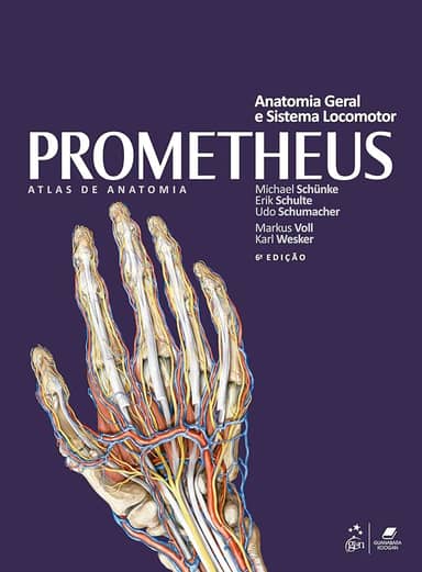 Prometheus | Coleção - Atlas de Anatomia 3 Volumes