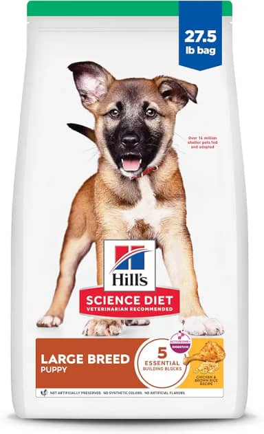 Ração Hill's Science Diet Raças Grandes para Cães Filhotes Sabor Frango - 12.5kg