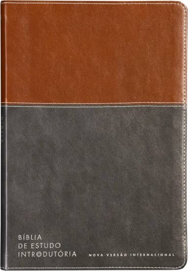 Bíblia de estudo introdutória, NVI, Couro-soft marrom e cinza chumbo, Leitura Perfeita