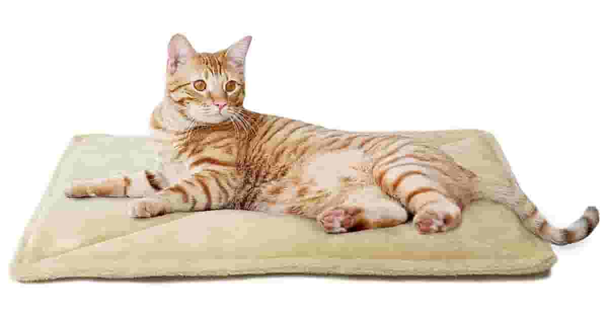 Camas Para Gatos Com Aquecimento Reviews: As Melhores