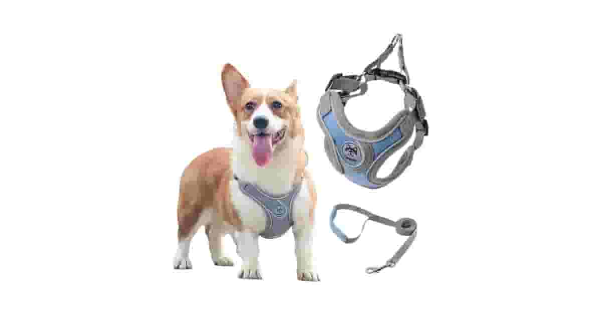 Melhores Coleiras para Cachorro que Late Muito: Guia de Controle