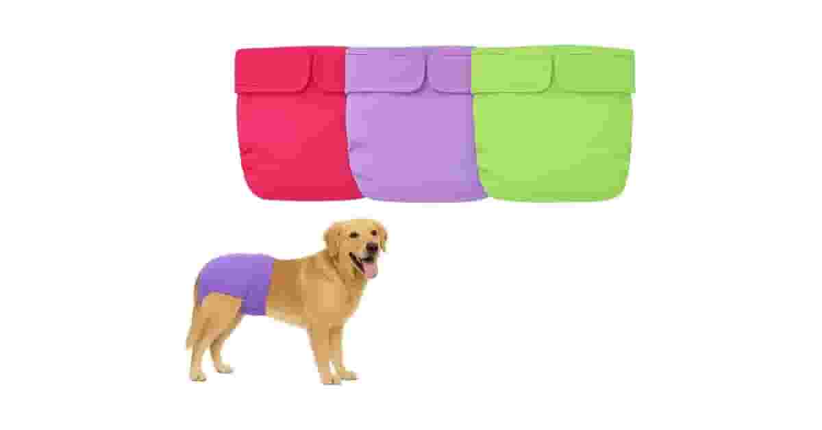 Melhores Fraldas Reutilizáveis Para Pet: Top 10