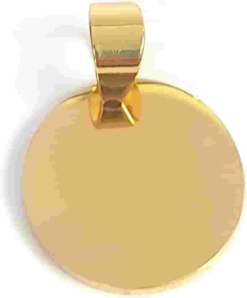 Plaquinha de Identificação Personalizável com Gravação a Laser para Cão ou Gato, Aço Inoxidável (Dourado)