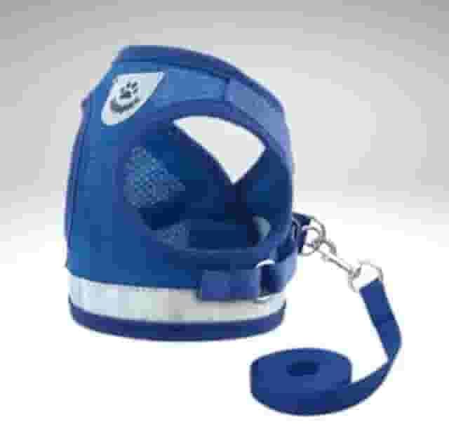 Coleira Pet Peitoral Refletível Com Guia para Cães Regulável Confortável para Cachorro (M, Azul)