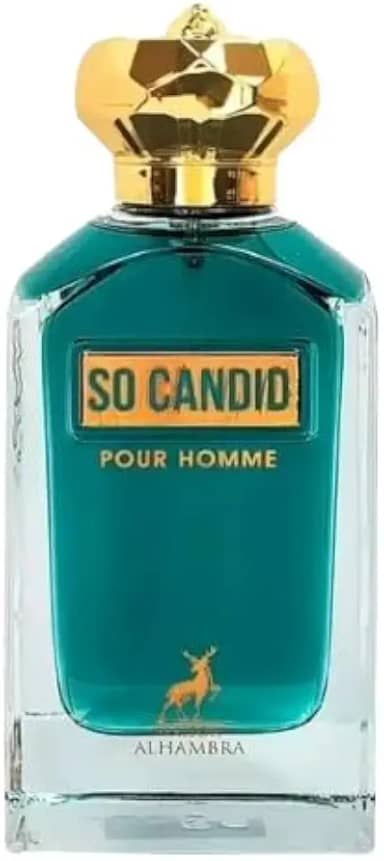 Perfume Arabe Pour Homme, Perfume Masculino EDP, Fragrância Oriental Amadeirada, 100ml, Notas de Caramelo e Fava Tonka