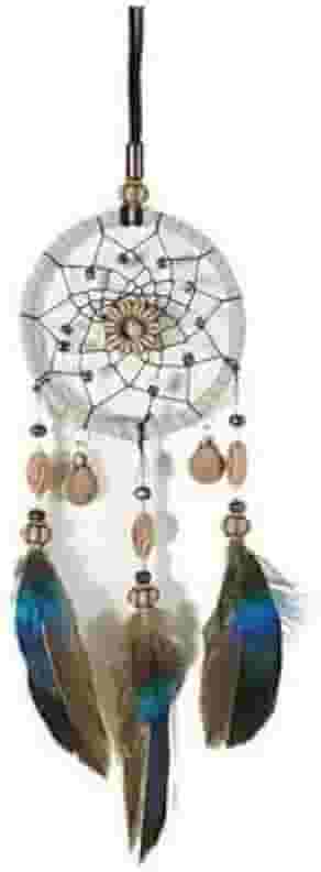 Filtro Dos Sonhos Pequeno Decoracao Casa Carro Penas Marrom